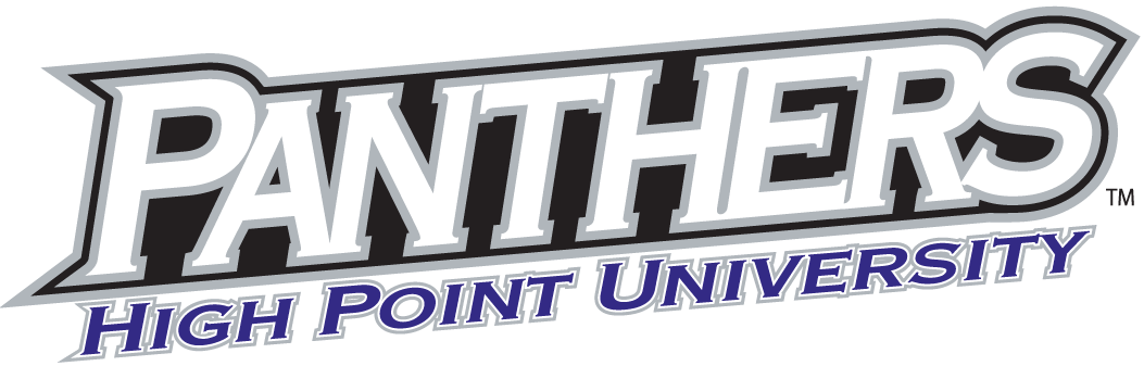 High Point Panthers 2004-Pres Wordmark Logo 02 iron on paper